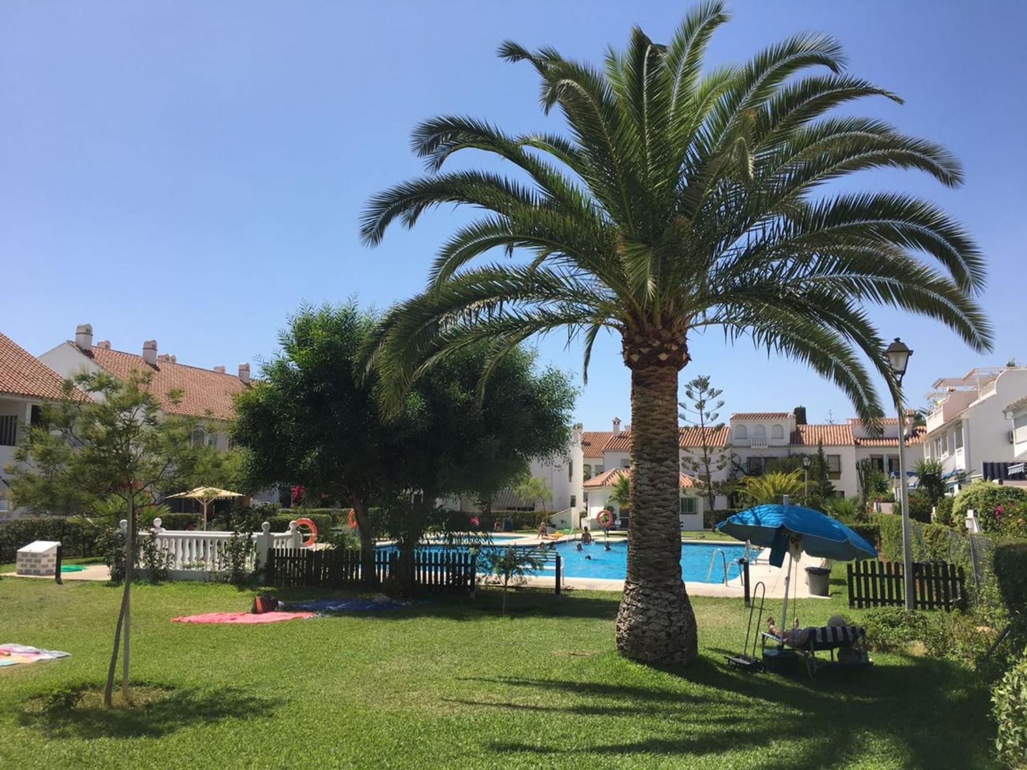 Studio Torrox Costa Andalusien Malaga Exteriör bild
